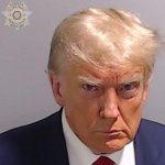 Donald Trump Mugshot face of pedophile traitor liar JPP