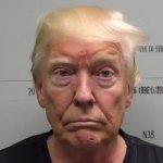 Donald Trump Mugshot