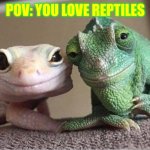 Common Reptile W | POV: YOU LOVE REPTILES | image tagged in supportive lizards gecko grand-parents | made w/ Imgflip meme maker