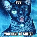 Also when you forget how | POV; YOU HAVE TO SNEEZE | image tagged in sneezing cat | made w/ Imgflip meme maker