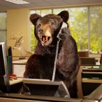 BEAR OFFICE WORKER