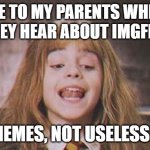 It's leviosa not leviosaa | ME TO MY PARENTS WHEN THEY HEAR ABOUT IMGFLIP; ITS MEMES, NOT USELESS PICS | image tagged in it's leviosa not leviosaa | made w/ Imgflip meme maker