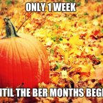 Only 1 week until the Ber Months | ONLY 1 WEEK; UNTIL THE BER MONTHS BEGIN. | image tagged in autumn love | made w/ Imgflip meme maker