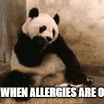Literally right now | ME WHEN ALLERGIES ARE OUT: | image tagged in gifs,panda | made w/ Imgflip video-to-gif maker