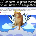 Rest in peace. | RIP cheems, a great meme. he will never be forgotten. | image tagged in rip cheems help spread the word | made w/ Imgflip meme maker