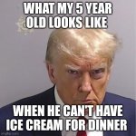 Trump mug shot | WHAT MY 5 YEAR OLD LOOKS LIKE; WHEN HE CAN'T HAVE ICE CREAM FOR DINNER | image tagged in trump mug shot | made w/ Imgflip meme maker