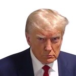 Trump Mugshot - Transparency