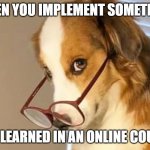 Dog glasses | WHEN YOU IMPLEMENT SOMETHING; YOU LEARNED IN AN ONLINE COURSE | image tagged in dog glasses | made w/ Imgflip meme maker