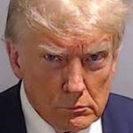 Turmp Mug Shot