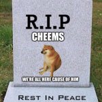 RIP headstone | CHEEMS; WE’RE ALL HERE CAUSE OF HIM | image tagged in rip headstone,cheems | made w/ Imgflip meme maker