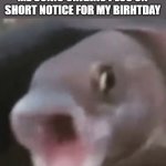 woah | ME WHEN MY MUM GETS ME SONIC ORIGINS PLUS ON SHORT NOTICE FOR MY BIRHTDAY | image tagged in poggers fish,sonic,just use sonic 1 and 2 absolute and 3 air,sonic origins,sonic origins plus,mr beast | made w/ Imgflip meme maker