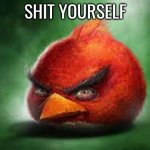 I'm starting to think I lost the funny | SHIT YOURSELF | image tagged in realistic red angry birds,memes,angry birds,shitpost | made w/ Imgflip meme maker