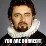 Correct! | YOU ARE CORRECT! | image tagged in black adder,correct,funny memes | made w/ Imgflip meme maker