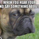 dog feels | WHEN YOU HEAR YOUR FRIEND SAY SOMETHING ABOUT YOU | image tagged in dog staredown | made w/ Imgflip meme maker