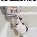 bathtub. | ME GETTING A DRINK AT 4:00 AM | image tagged in cat drinking water in bathtub | made w/ Imgflip meme maker