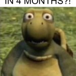 we’ve been on 4x speed since 2020 | HOW IS 2024 IN 4 MONTHS?! | image tagged in shocked turtle | made w/ Imgflip meme maker