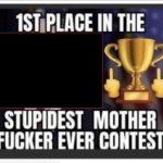 1st place in the stupidest mf ever contest
