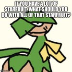 RoyalMelon | IF YOU HAVE A LOT OF STARFRUIT, WHAT SHOULD YOU DO WITH ALL OF THAT STARFRUIT? | image tagged in royalmelon | made w/ Imgflip meme maker