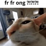 fr fr ong cat GIF Template