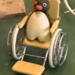 Handicapped Pingu
