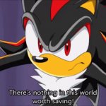 shadow theres nothing in this world worth saving