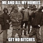 Literally me and my homies | ME AND ALL MY HOMIES; GET NO BITCHES | image tagged in all my homies hate | made w/ Imgflip meme maker