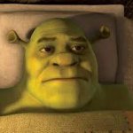 Shrek waking up