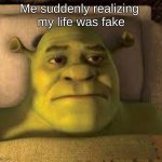 my dreams are better than my life | Me suddenly realizing 
my life was fake | image tagged in shrek waking up | made w/ Imgflip meme maker