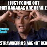 mind=blown | I JUST FOUND OUT THAT BANANAS ARE BERRIES; @WeReally
MemeIt; AND STRAWBERRIES ARE NOT BERRIES | image tagged in mind blown | made w/ Imgflip meme maker