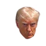 Trump Mugshot head only