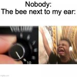 One of my better memes imo | Nobody:
The bee next to my ear: | image tagged in loud music | made w/ Imgflip meme maker