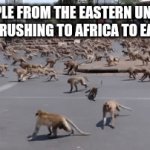 Yummy | PEOPLE FROM THE EASTERN UNITED STATES RUSHING TO AFRICA TO EAT SAND | image tagged in gifs,america,africa,americans,monkey run | made w/ Imgflip video-to-gif maker