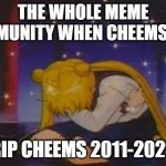rip cheems | THE WHOLE MEME COMMUNITY WHEN CHEEMS DIED; RIP CHEEMS 2011-2023 | image tagged in sailor moon depression,cheems,rip,rip cheems,memes | made w/ Imgflip meme maker