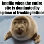 E | Imgflip when the entire site is dominated by a piece of freaking lettuce | image tagged in gifs,zad,ptsd | made w/ Imgflip video-to-gif maker