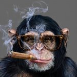 Cigarette monkey