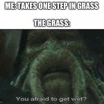 Wet shoe | ME: TAKES ONE STEP IN GRASS
 
THE GRASS: | image tagged in afraid to get wet | made w/ Imgflip meme maker