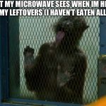 leftovers | WHAT MY MICROWAVE SEES WHEN IM HEATING UP MY LEFTOVERS (I HAVEN’T EATEN ALL DAY) | image tagged in what my microwave sees,fresh memes,funny,memes | made w/ Imgflip meme maker