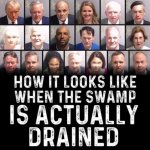 When the swamp is actually drained