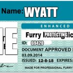 Furry Hunting License Template | WYATT; ME; PROTECTING; 69420; DEFENSE | image tagged in furry hunting license template | made w/ Imgflip meme maker