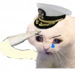 Updated Saluting Navy Cat meme