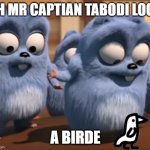 Oh mr capitan tabodi look | OH MR CAPTIAN TABODI LOOK; A BIRDE | image tagged in oh mr capitan tabodi look | made w/ Imgflip meme maker