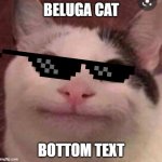 beluga cat is so cool that i luv him | BELUGA CAT; BOTTOM TEXT | image tagged in beluga cat | made w/ Imgflip meme maker