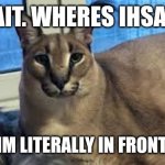 Floppa | WAIT. WHERES IHSAN? IHSAN: IM LITERALLY IN FRONT OF YOU | image tagged in floppa | made w/ Imgflip meme maker