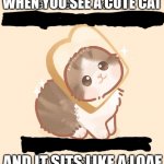 They do this every once in a while | WHEN YOU SEE A CUTE CAT; AND IT SITS LIKE A LOAF | image tagged in the cat loaf | made w/ Imgflip meme maker