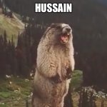 Screaming Marmot | HUSSAIN | image tagged in screaming marmot | made w/ Imgflip meme maker