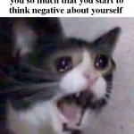 lol, its just all negative like you're worth nothing | when your mom yells at you so much that you start to think negative about yourself | image tagged in screaming cat meme,negative | made w/ Imgflip meme maker