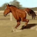 Two legged horse GIF Template