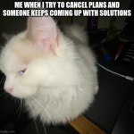 its true | ME WHEN I TRY TO CANCEL PLANS AND SOMEONE KEEPS COMING UP WITH SOLUTIONS | image tagged in cat side eye | made w/ Imgflip meme maker