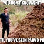 Parvo poop | YOU DON'T KNOW SHIT; UNTIL YOU'VE SEEN PARVO POOP | image tagged in memes poop jurassic park,parvovirus,dog poop,virus | made w/ Imgflip meme maker