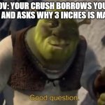 Shrek Good Question Meme Template | POV: YOUR CRUSH BORROWS YOUR RULER AND ASKS WHY 3 INCHES IS MARKED. | image tagged in shrek good question meme template | made w/ Imgflip meme maker